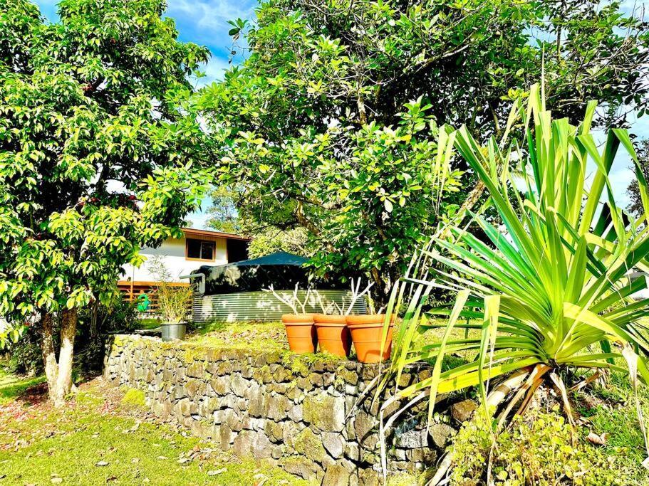 Home Near Volcano National Park, Hilo, Kehena Keaau Ngoại thất bức ảnh